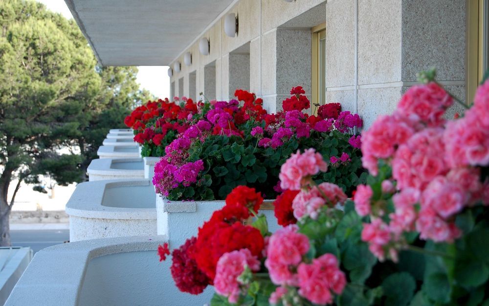 4R Meridia Mar Hospitalet De L'Infant Εξωτερικό φωτογραφία